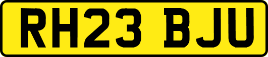 RH23BJU