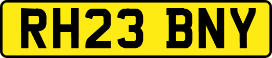 RH23BNY