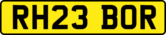 RH23BOR