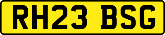RH23BSG