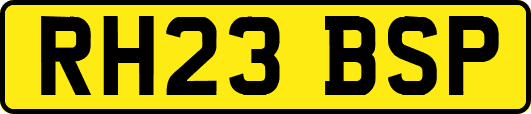 RH23BSP