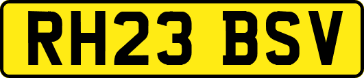 RH23BSV