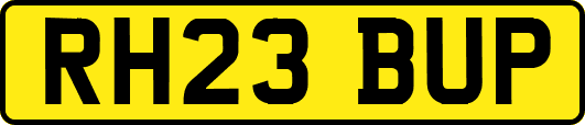 RH23BUP