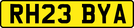 RH23BYA