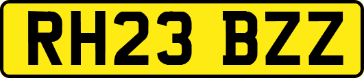 RH23BZZ