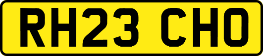 RH23CHO