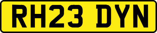RH23DYN