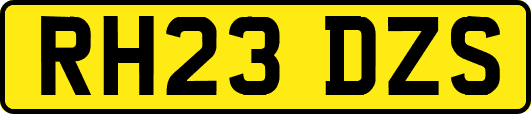 RH23DZS