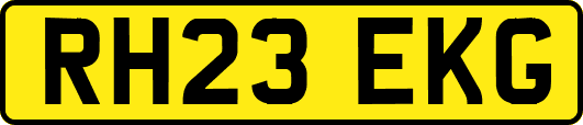 RH23EKG