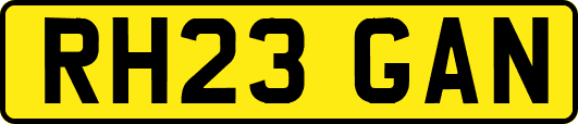 RH23GAN