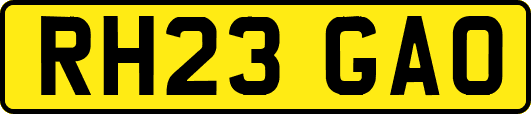 RH23GAO
