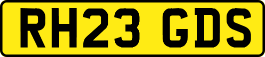 RH23GDS