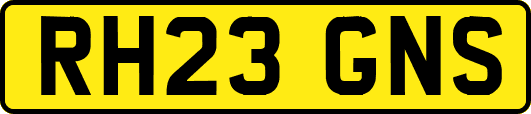 RH23GNS