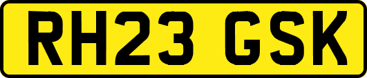 RH23GSK