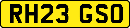 RH23GSO
