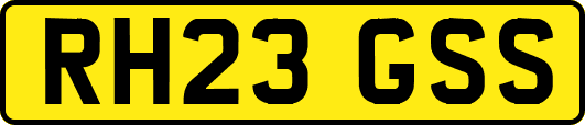 RH23GSS