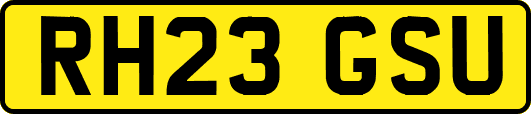 RH23GSU