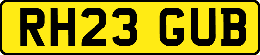 RH23GUB