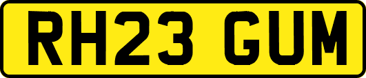 RH23GUM