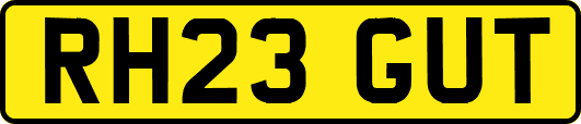 RH23GUT