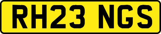 RH23NGS