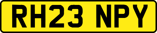 RH23NPY
