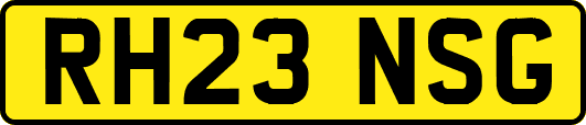 RH23NSG