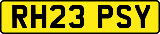 RH23PSY