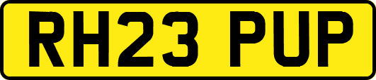 RH23PUP