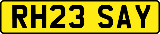 RH23SAY