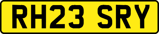 RH23SRY