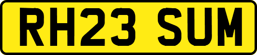 RH23SUM