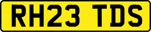 RH23TDS