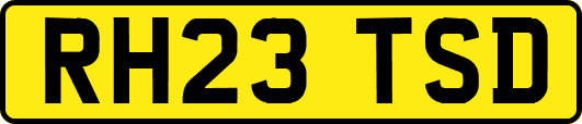 RH23TSD