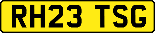 RH23TSG
