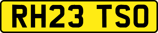 RH23TSO
