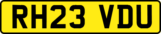 RH23VDU