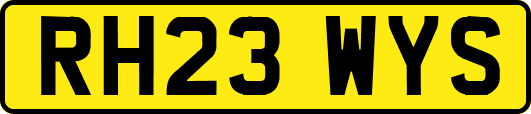RH23WYS
