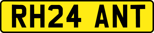 RH24ANT