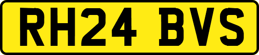 RH24BVS