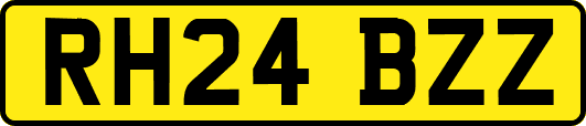 RH24BZZ