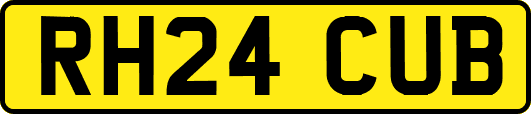 RH24CUB