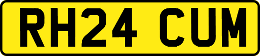RH24CUM