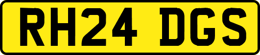 RH24DGS