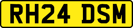 RH24DSM
