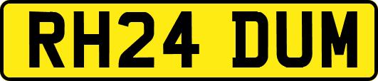 RH24DUM