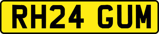 RH24GUM