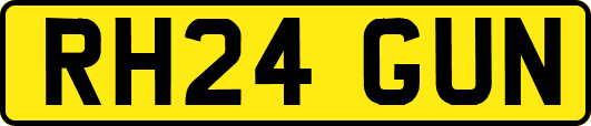 RH24GUN