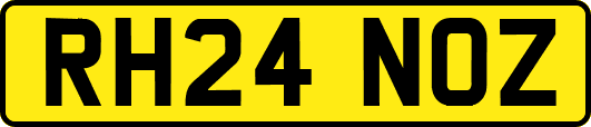 RH24NOZ