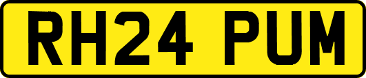 RH24PUM
